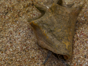 Virgin Islands National Park