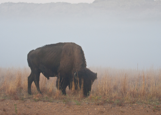 Wichita Mountains National Wildlife Refuge