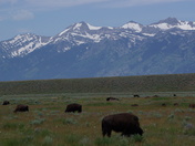 Grand Teton National Park