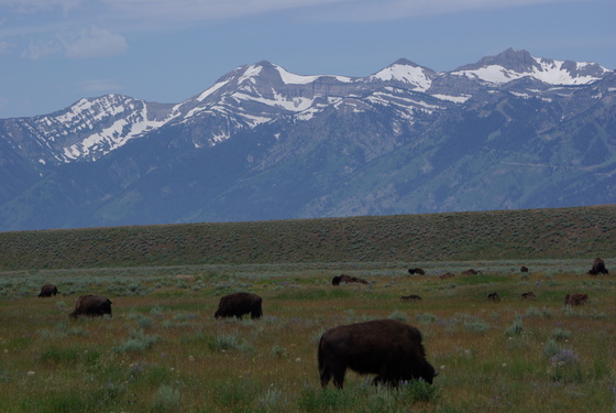 Grand Teton National Park