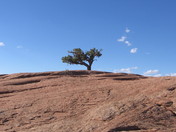 Bureau of Land Management Land