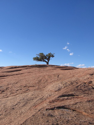 Bureau of Land Management Land