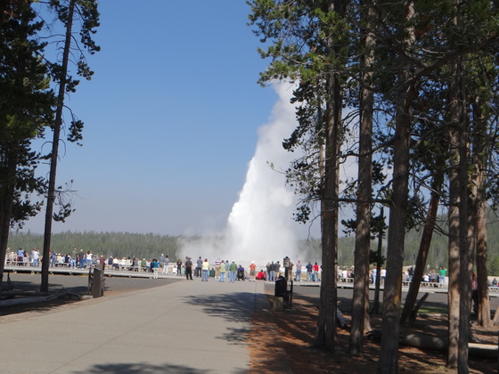 Yellowstone National Park