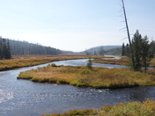 Yellowstone National Park