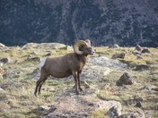 Rocky Mountain National Park