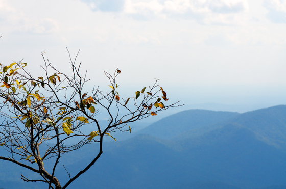 Appalachian Trail