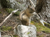 Rocky Mountain National Park