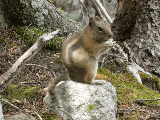 Rocky Mountain National Park