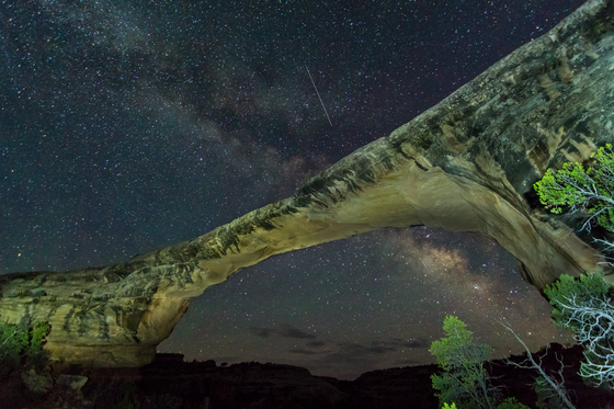 Natural Bridges National Monument