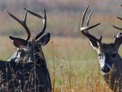 Smoky Mountains National Park