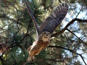 Lee Metcalf National WIldlife Refuge