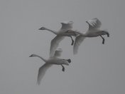 Lee Metcalf National Wildlife Refuge