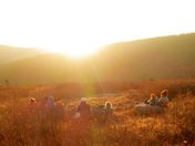 Mount Rodgers National Recreation Area