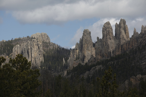 Black Hills National Forest