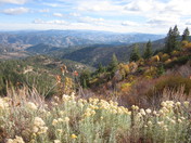 Boise National Forest