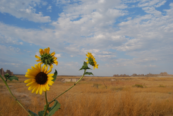 Badlands National Park