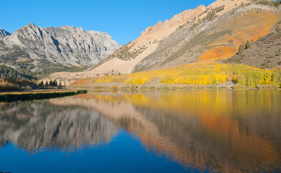 Inyo National Forest