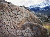 Inyo National Forest