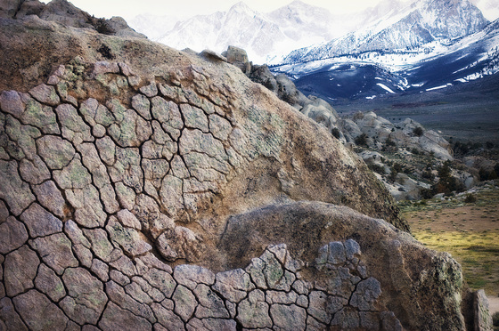 Inyo National Forest