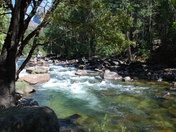 Yosemite National Park