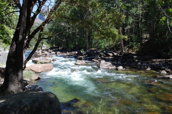 Yosemite National Park