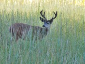 Yosemite National Park