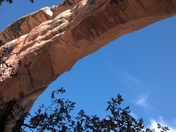 Natural bridges National Monument