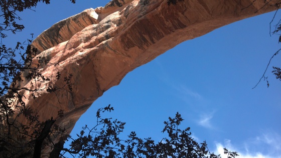 Natural bridges National Monument