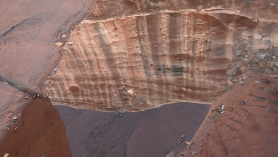 Natural Bridges National Monument