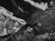 Natural Bridges National Monument