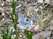 Grand Tetons National Park