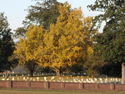 Vicksburg National Military Park
