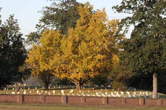 Vicksburg National Military Park