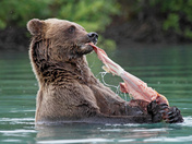 Lake Clark National Park
