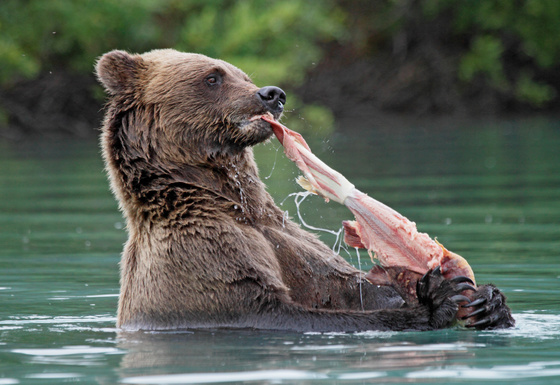 Lake Clark National Park