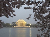 Thomas Jefferson Memorial