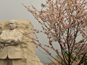 Martin Luther KIng Memorial