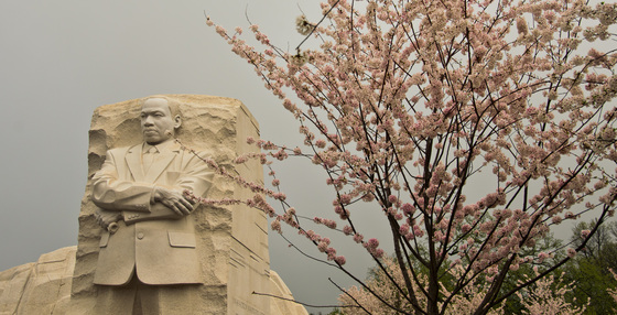 Martin Luther KIng Memorial