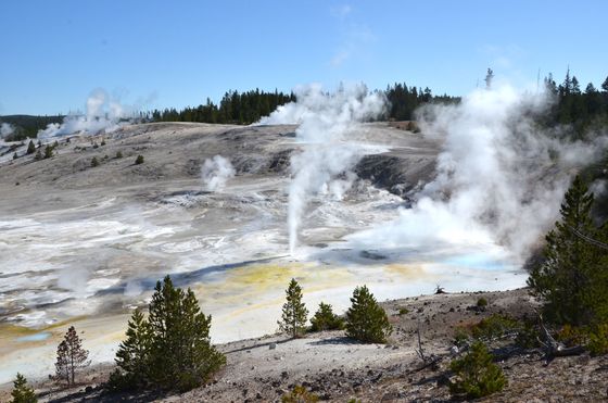 Yellowstone National Park