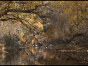 Sabino Canyon National Recreation area