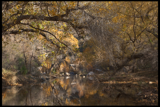 Sabino Canyon National Recreation area