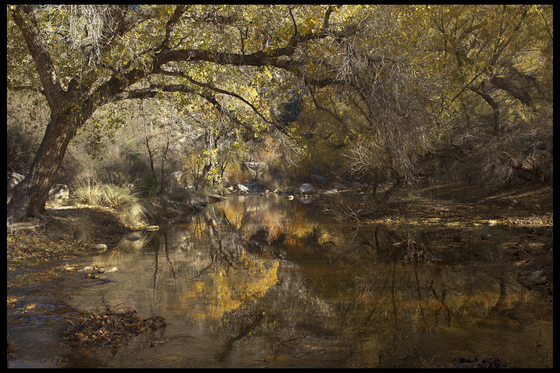 Sabino Canyon National Recreation Area