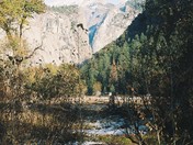 Yosemite National Park