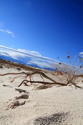 White Sands