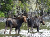Isle Royale National Park
