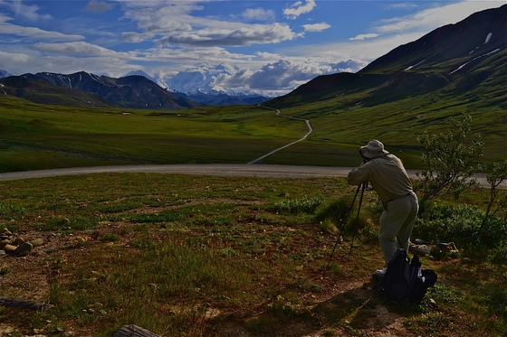 Denali National Park