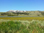 Yellowstone National Park