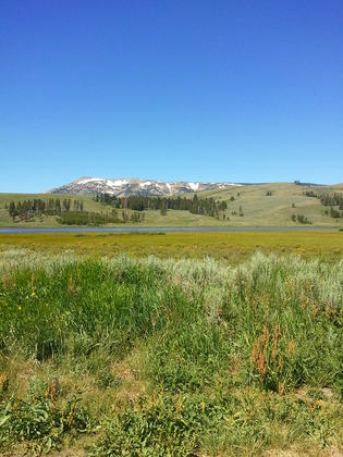 Yellowstone National Park