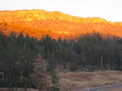 Tonto National Forest