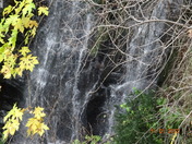 sequoia national park